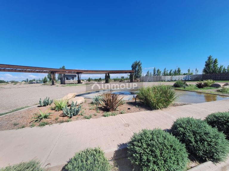 Lote en Venta en Guaymallen, Mendoza