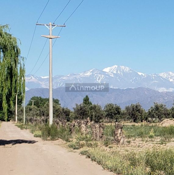 Lote en Venta en Lujan de Cuyo, Mendoza