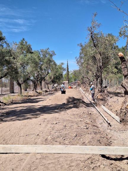 Lote en Venta en Lujan de Cuyo, Mendoza