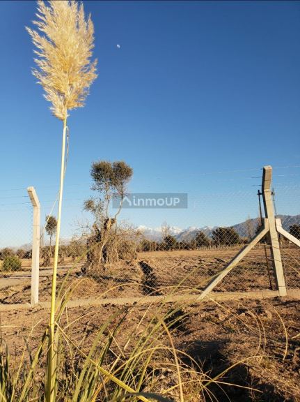 Lote en Venta en Lujan de Cuyo, Mendoza