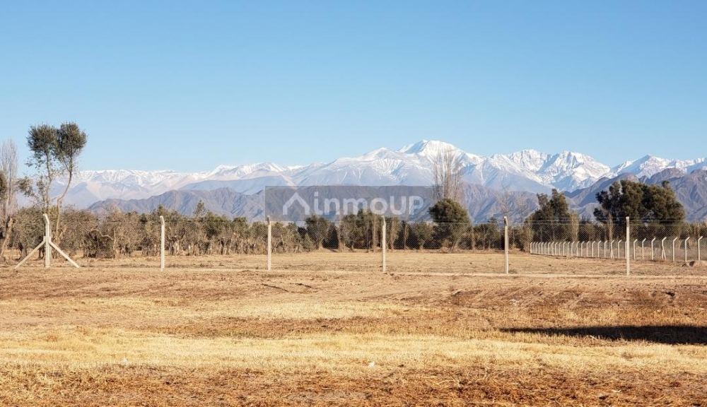 Lote en Venta en Lujan de Cuyo, Mendoza