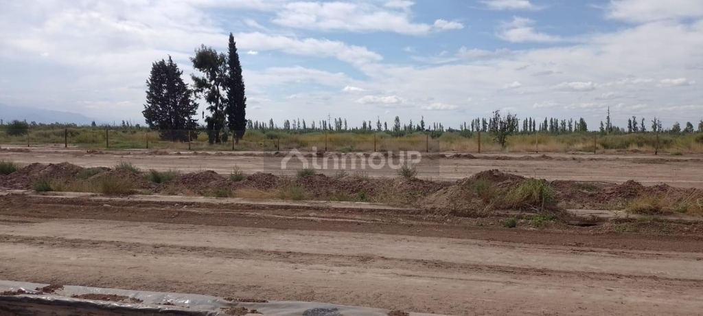 Lote en Venta en Lujan de Cuyo, Mendoza