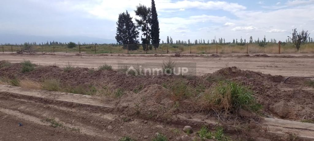 Lote en Venta en Lujan de Cuyo, Mendoza