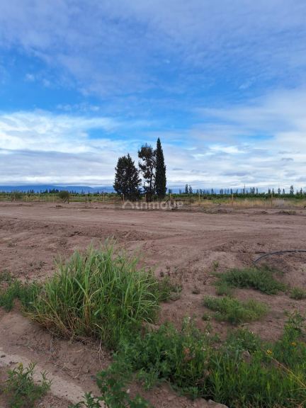 Lote en Venta en Lujan de Cuyo, Mendoza