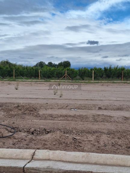 Lote en Venta en Lujan de Cuyo, Mendoza