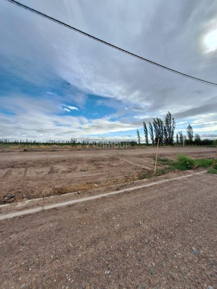 Lote en Venta en Lujan de Cuyo, Mendoza