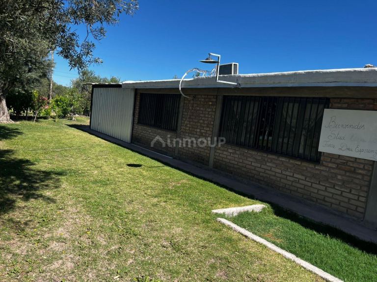 Finca en Venta en Rivadavia, Mendoza
