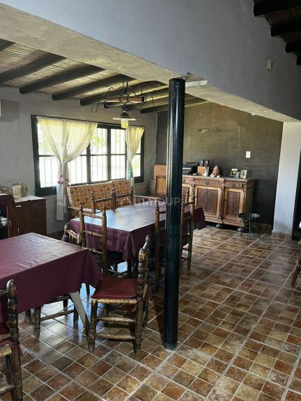 Finca en Venta en Rivadavia, Mendoza