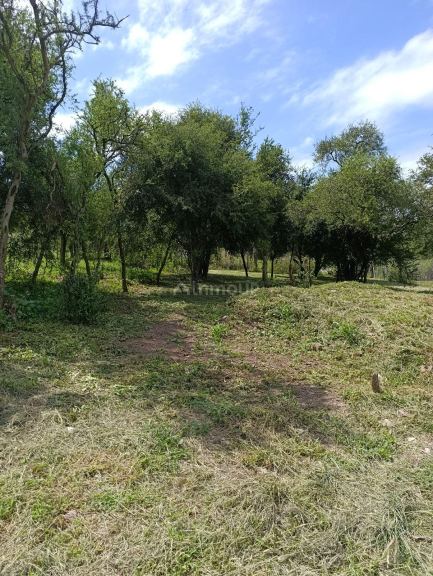 Terreno en Venta en Colon, Cordoba