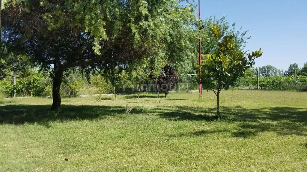 Casa Quinta en Venta en San Martin, Mendoza