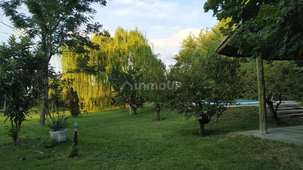 Casa Quinta en Venta en San Martin, Mendoza