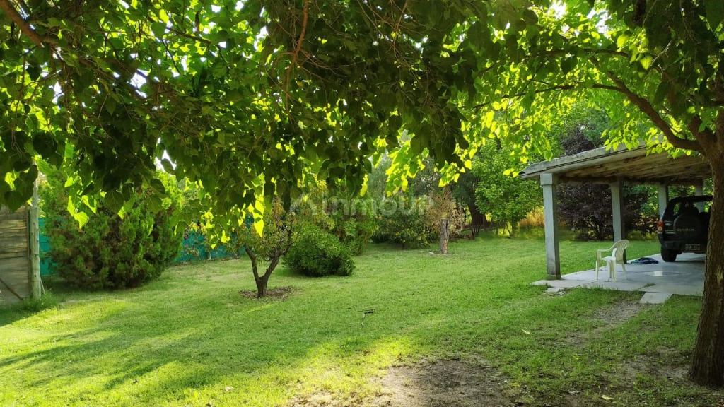 Casa Quinta en Venta en San Martin, Mendoza