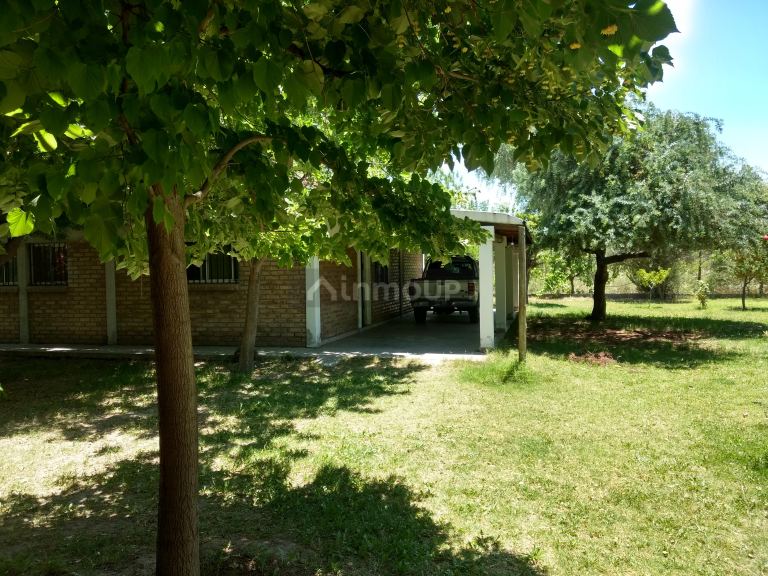 Casa Quinta en Venta en San Martin, Mendoza