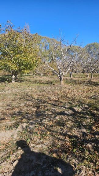 Finca en Venta en Tupungato, Mendoza