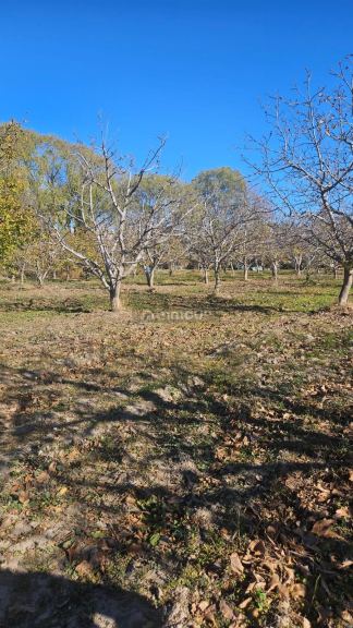 Finca en Venta en Tupungato, Mendoza