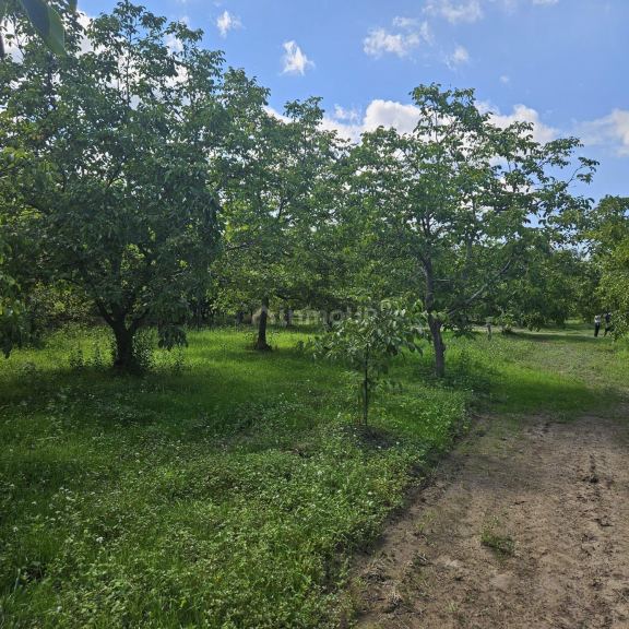 Finca en Venta en Tupungato, Mendoza