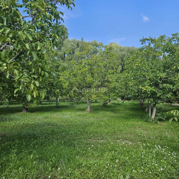 Finca en Venta en Tupungato, Mendoza