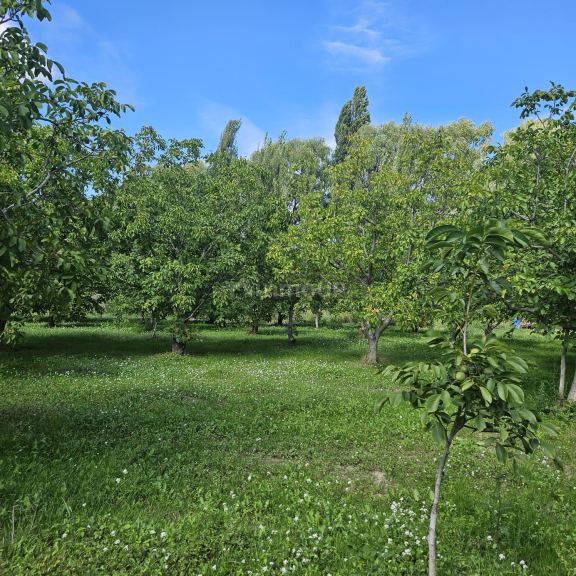 Finca en Venta en Tupungato, Mendoza