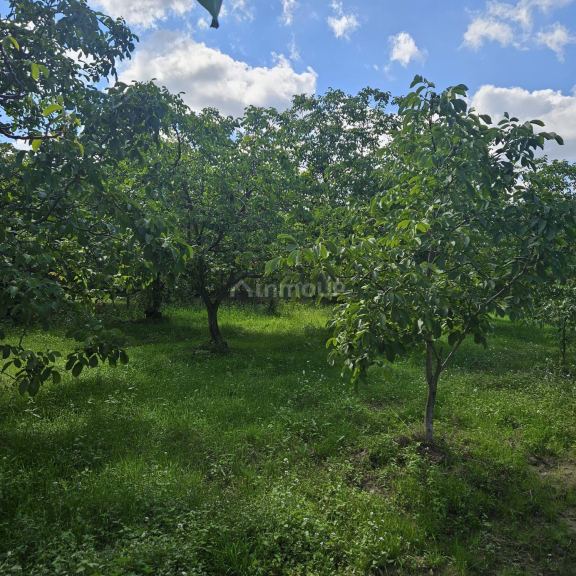 Finca en Venta en Tupungato, Mendoza