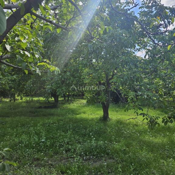 Finca en Venta en Tupungato, Mendoza