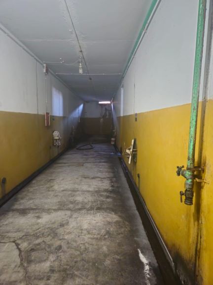 Bodega con Viñedo en Venta en Santa Rosa, Mendoza