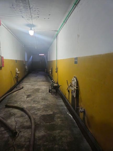 Bodega con Viñedo en Venta en Santa Rosa, Mendoza