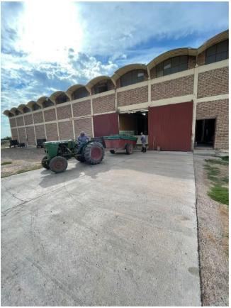 Bodega con Viñedo en Venta en Santa Rosa, Mendoza