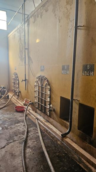 Bodega con Viñedo en Venta en Santa Rosa, Mendoza