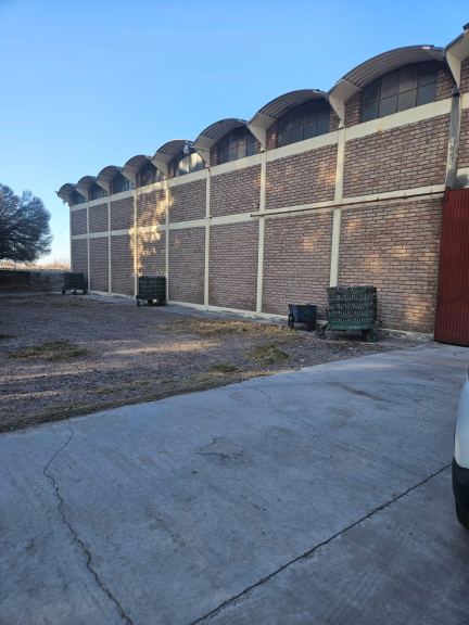 Bodega con Viñedo en Venta en Santa Rosa, Mendoza