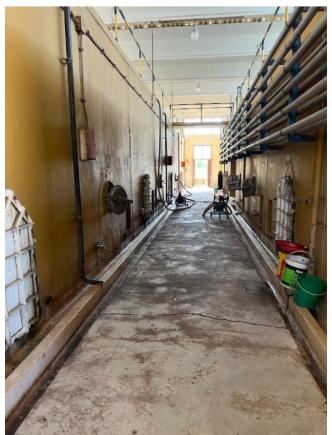 Bodega con Viñedo en Venta en Santa Rosa, Mendoza