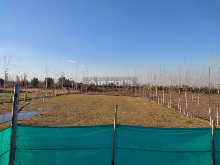 Lote en Permuta en Maipu, Mendoza - USD 50.000 | Inmoup - 6