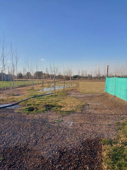 Maipu olascoaga y buenos aires