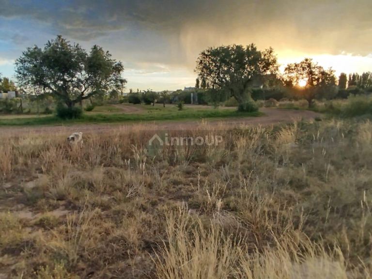 Lote en Venta en San Rafael, Mendoza