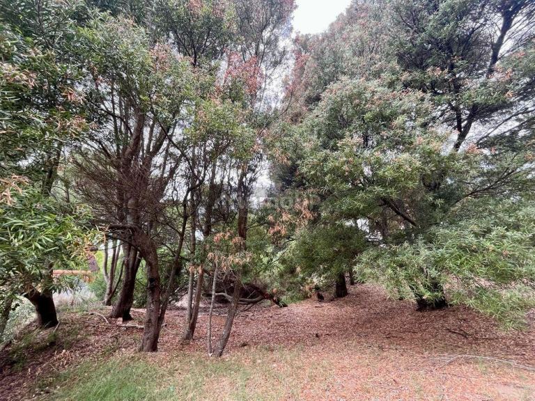 Terreno en Venta en De la Costa, Buenos Aires Costa Atlantica