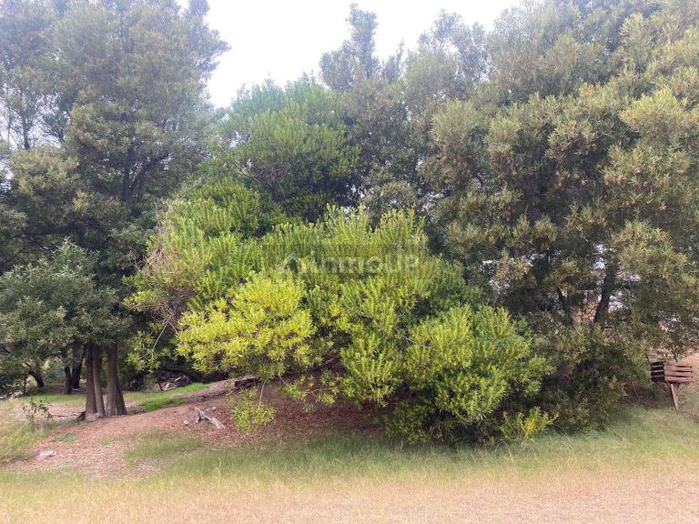 Terreno en Venta en De la Costa, Buenos Aires Costa Atlantica