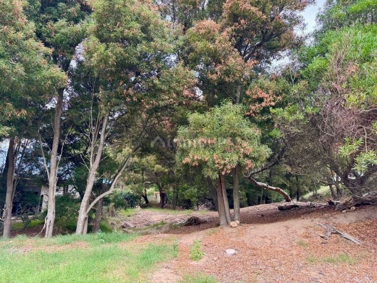 Terreno en Venta en De la Costa, Buenos Aires Costa Atlantica