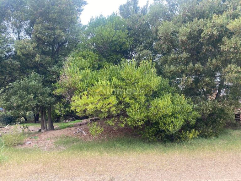 Terreno en Venta en De la Costa, Buenos Aires Costa Atlantica