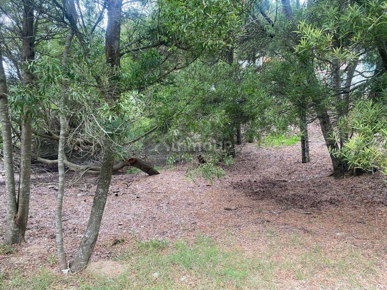 Terreno en Venta en De la Costa, Buenos Aires Costa Atlantica