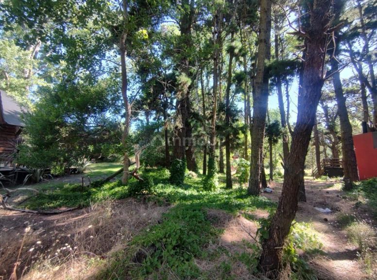 Terreno en Venta en Villa Gesell, Buenos Aires Interior