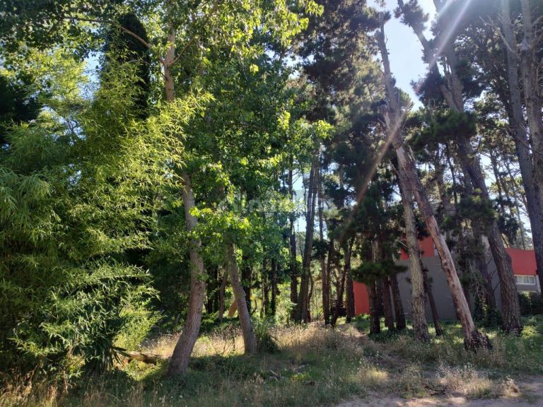 Terreno en Venta en Villa Gesell, Buenos Aires Interior