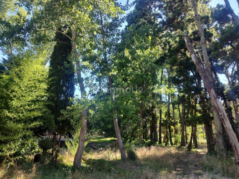 Terreno en Venta en Villa Gesell, Buenos Aires Interior