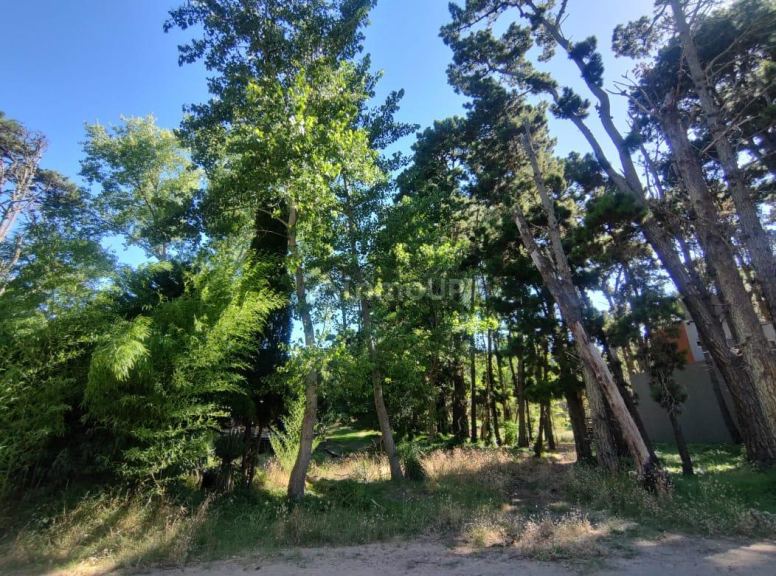 Terreno en Venta en Villa Gesell, Buenos Aires Interior