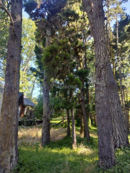 Terreno en Venta en Villa Gesell, Buenos Aires Interior
