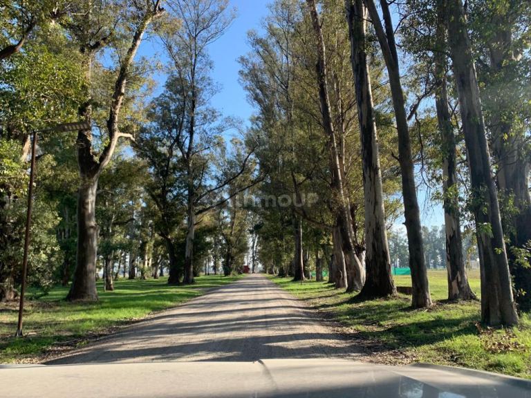 Terreno en Venta en General Rodriguez, G.B.A. Zona Oeste