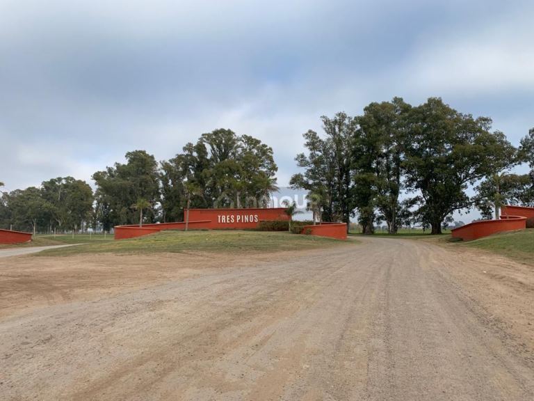 Terreno en Venta en General Rodriguez, G.B.A. Zona Oeste