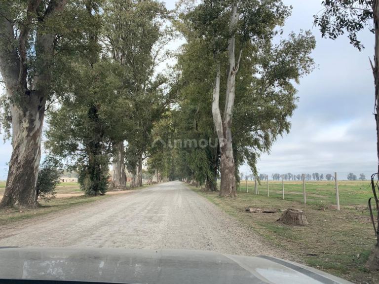 Terreno en Venta en General Rodriguez, G.B.A. Zona Oeste