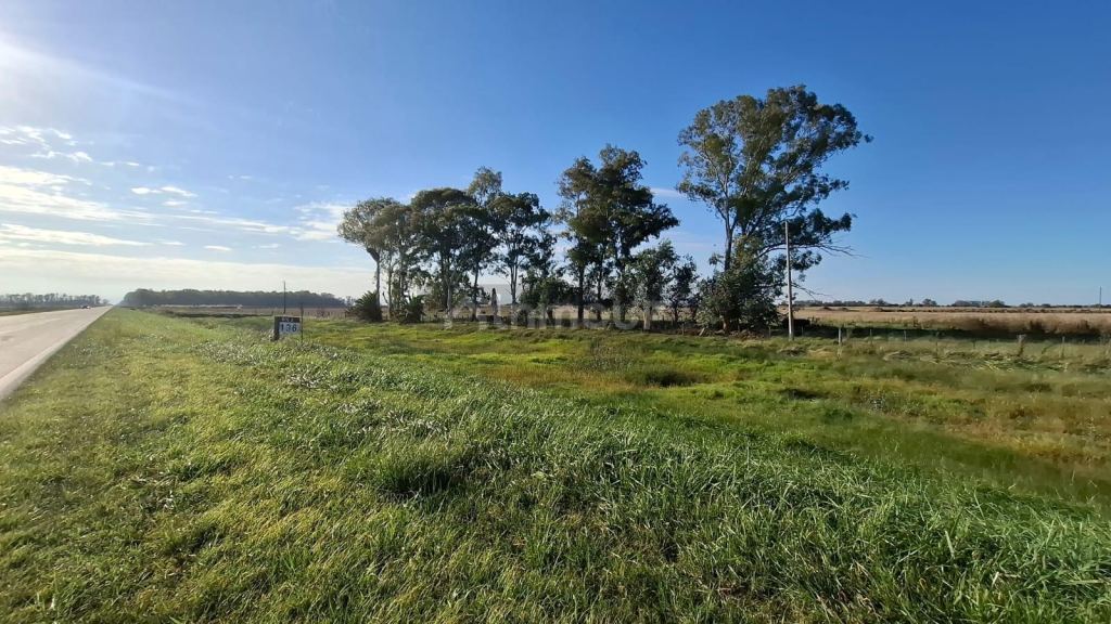 Campo en Venta en Suipacha, Buenos Aires Interior