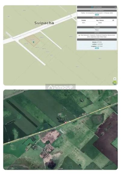 Campo en Venta en Suipacha, Buenos Aires Interior
