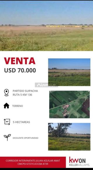 Campo en Venta en Suipacha, Buenos Aires Interior