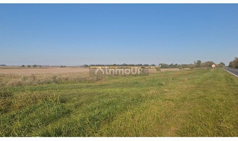 Campo en Venta en Suipacha, Buenos Aires Interior